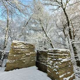 Ecokathedralen onder sneeuwdeken Ecokathedralen onder sneeuwdeken