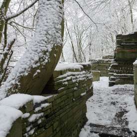 Ecokathedralen onder sneeuwdeken Ecokathedralen onder sneeuwdeken