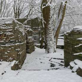 Ecokathedralen onder sneeuwdeken Ecokathedralen onder sneeuwdeken