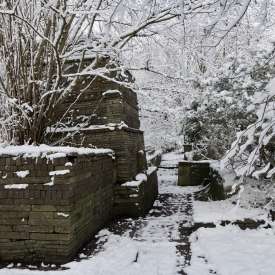 Ecokathedralen onder sneeuwdeken Ecokathedralen onder sneeuwdeken
