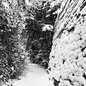 Ecokathedralen onder sneeuwdeken Ecokathedralen onder sneeuwdeken