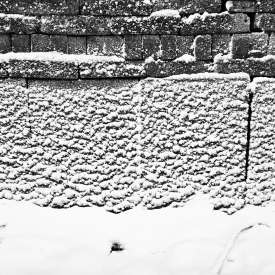 Ecokathedralen onder sneeuwdeken Ecokathedralen onder sneeuwdeken