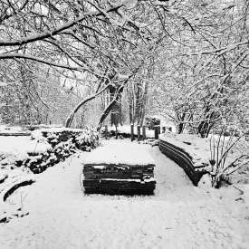 Ecokathedralen onder sneeuwdeken Ecokathedralen onder sneeuwdeken