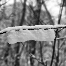 Ecokathedralen onder sneeuwdeken Ecokathedralen onder sneeuwdeken