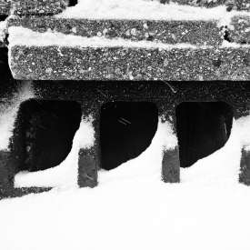 Ecokathedralen onder sneeuwdeken Ecokathedralen onder sneeuwdeken