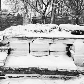 Ecokathedralen onder sneeuwdeken Ecokathedralen onder sneeuwdeken