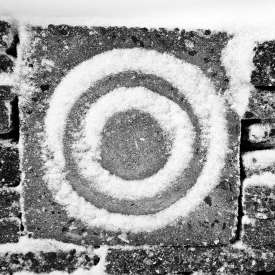 Ecokathedralen onder sneeuwdeken Ecokathedralen onder sneeuwdeken